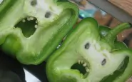 funny shaped vegetables fruits 13