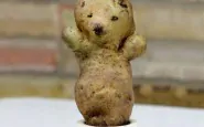 funny shaped vegetables fruits 14