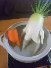 funny shaped vegetables fruits 15