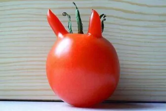 funny shaped vegetables fruits 5