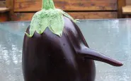 funny shaped vegetables fruits 8