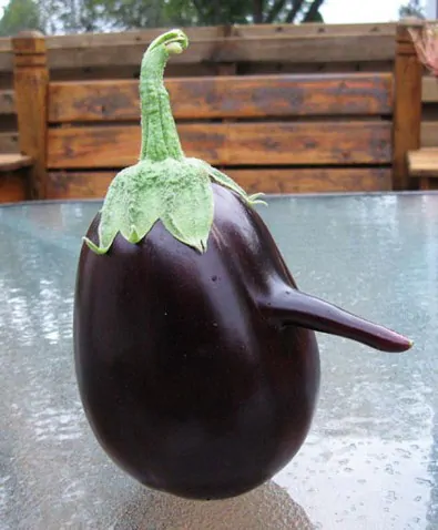 funny shaped vegetables fruits 8