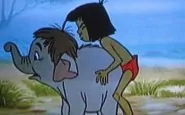 mowgli sperimentatore