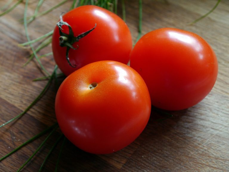 allergia al pomodoro