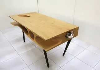 catable shared table for catsand people 11
