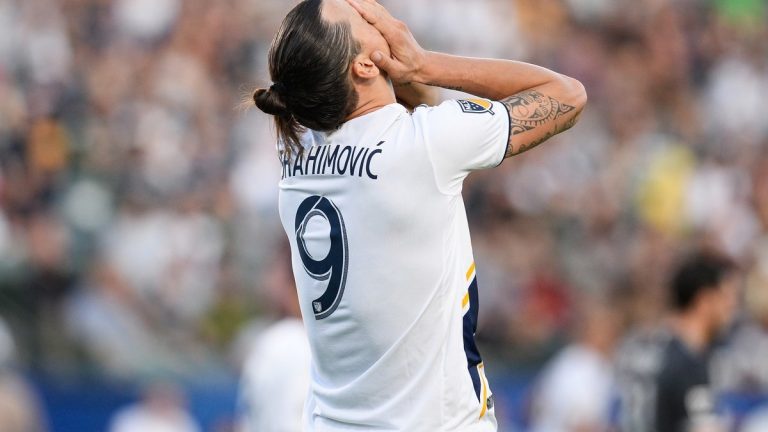 fratello ibrahimovic morto