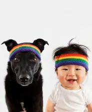 zoey jasper rescue dog baby portraits grace chon 3 1