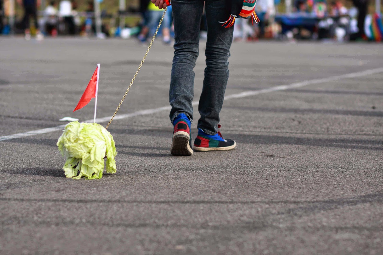 2014_05_Going_Walk_Cabbage-003