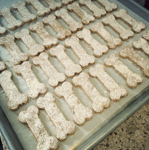 Alton-Browns-Stinkin-Dog-Treats