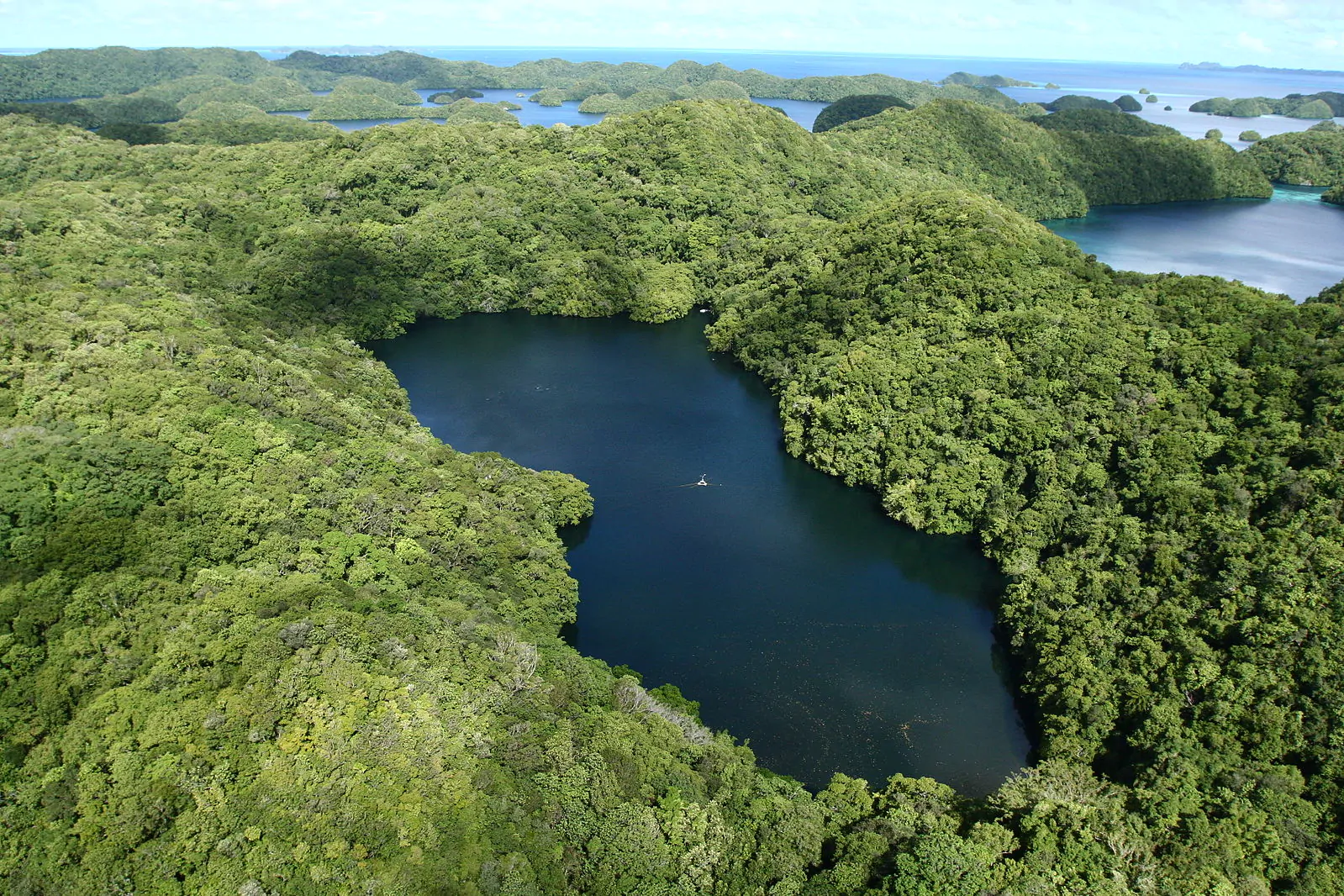 Jellyfish_Lake_aerial_March_2008