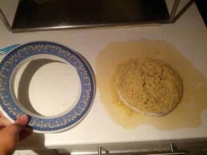 funny dammit plate chineese