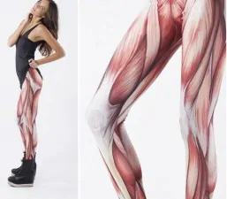 500x437xwtf leggings muscle1.jpg.pagespeed.ic .Oxqx1H57Ra1