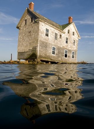 Reclaimed-by-nature-2e