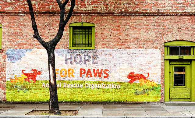 hope-for-paws