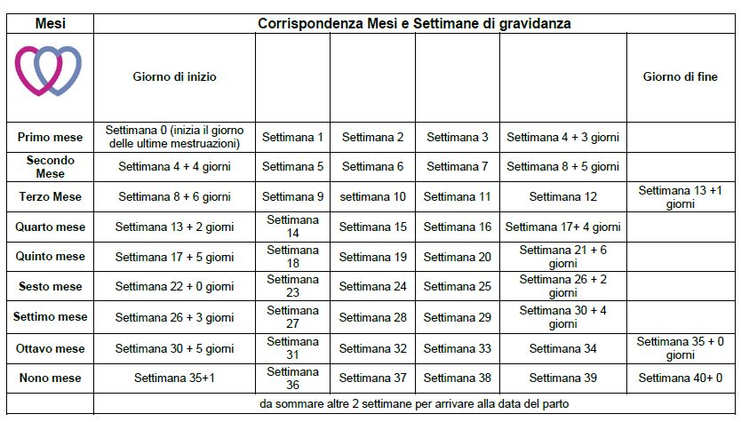 Calcolo gravidanza mese  Notizie.it