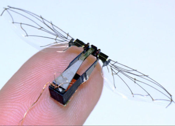 ob_9321cd_wood-robotfly-web