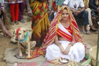 cane sposa ragazza india1