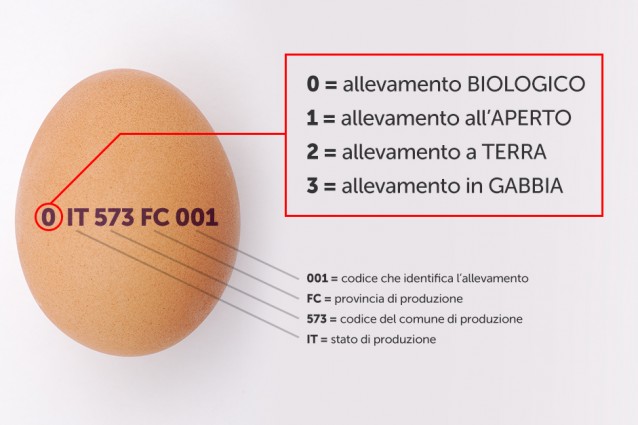 uovo-significato-2-638x425