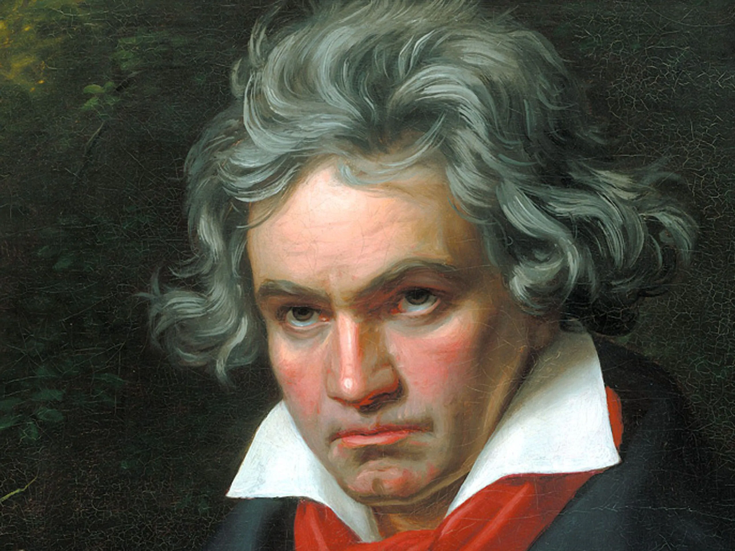 Ludwig van Beethoven 8