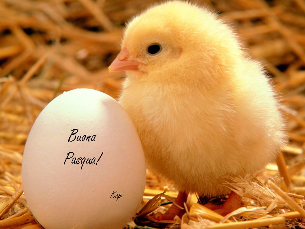 Frasi cordiali auguri di Pasqua