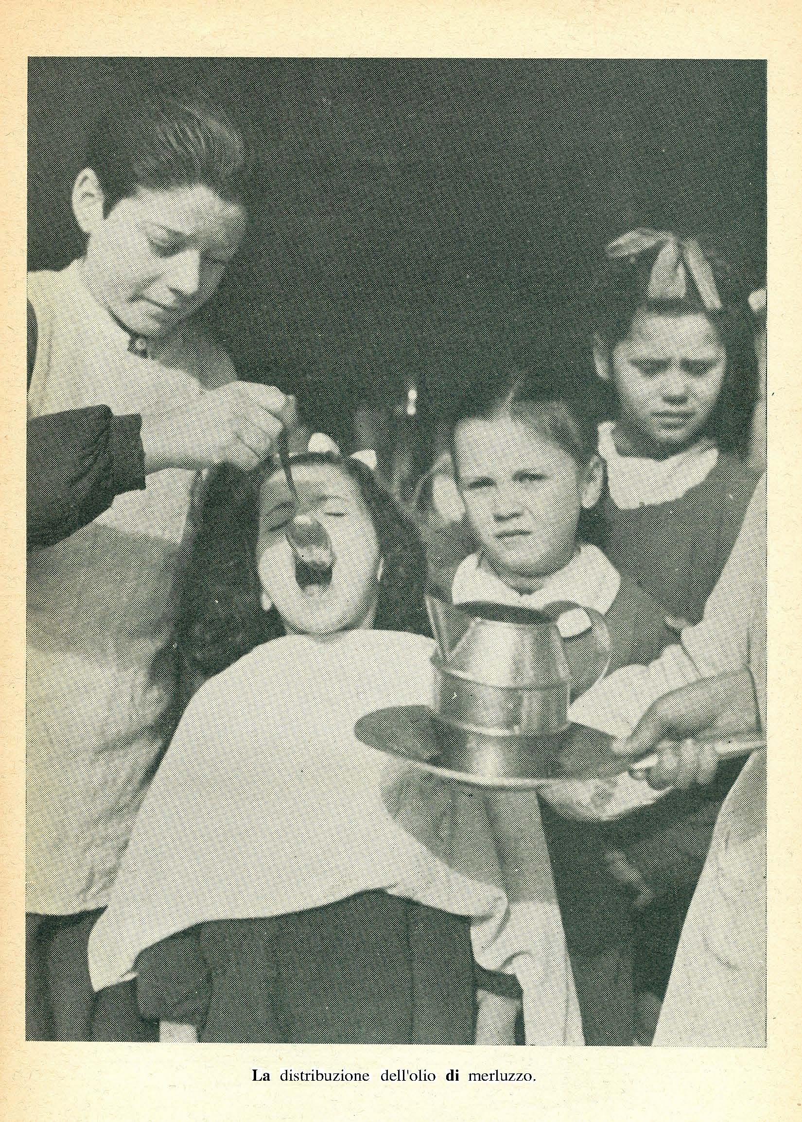 lolio di fegato di merluzzo sc citta pestalozzi 1950