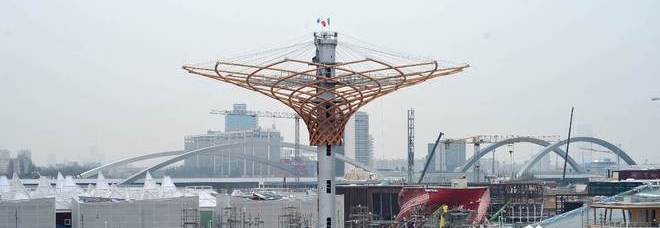 albero_vita_expo