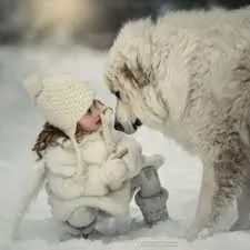 Lo sguardo tra uomo e cane rafforza il legame novità