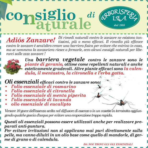 image (1)