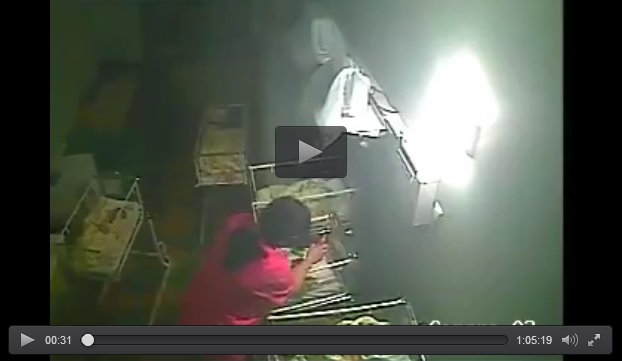 liveleak