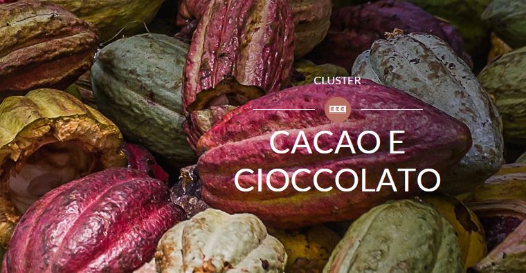 cacao expo 2015