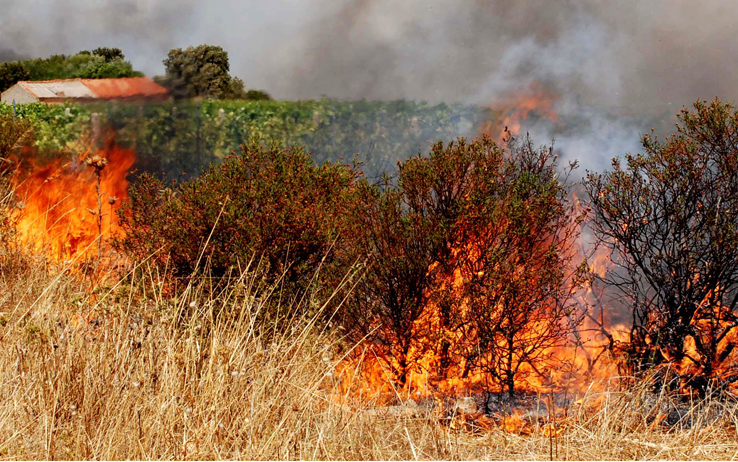INCENDI: SALGONO A DUE I MORTI IN SARDEGNA