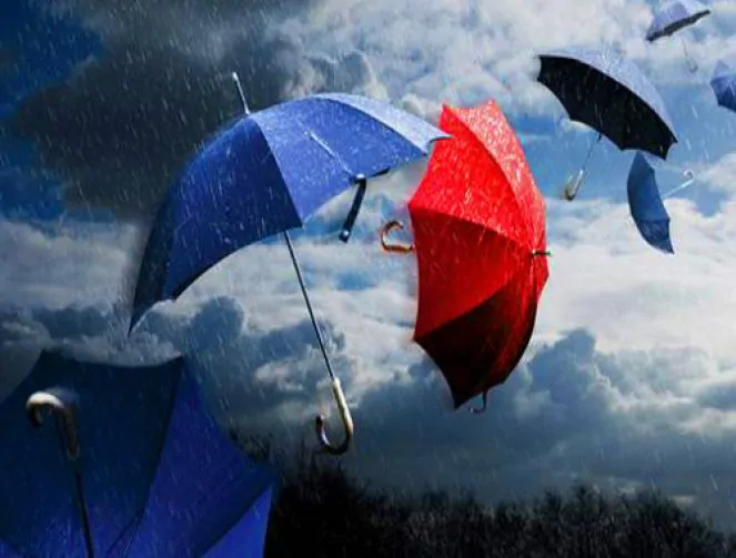 433a3a8c4ef91bf1c90ea5ffe43f9203 ombrelli pioggia