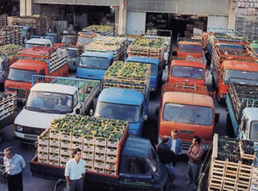 mercato ortofrutta