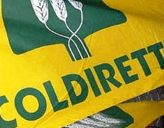 Anche a Bari sit-in dei produttori di latte