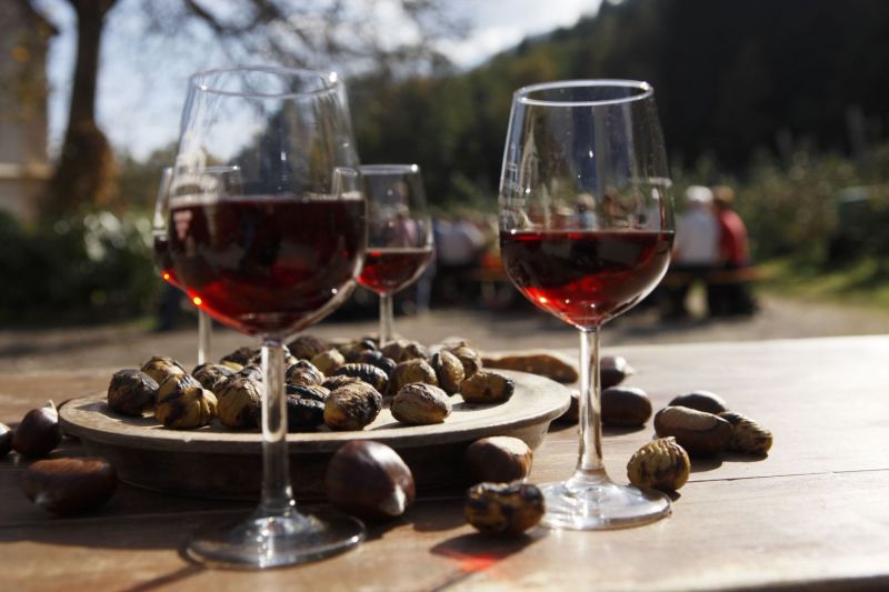movimento turismo vino Campania