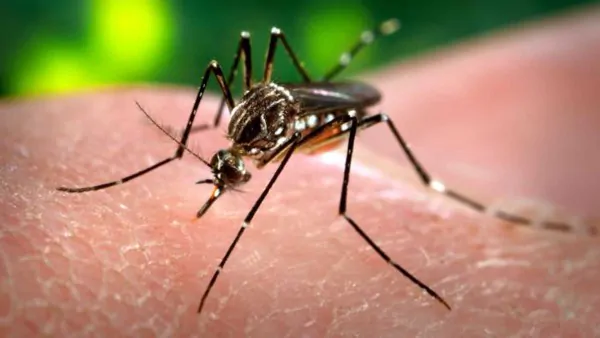 Il virus Zika allarma e preoccupa sempre di più
