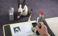 Come fare il passaporto al cane