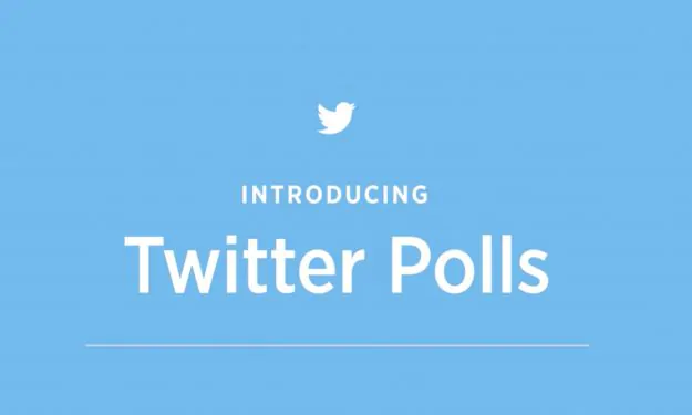 Come usare Poll di Twitter