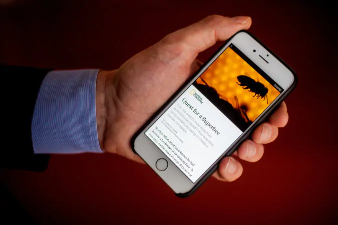 Cosa sono Instant Articles su Facebook