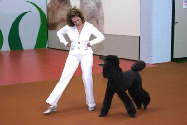 Che cos’è Dog Dance