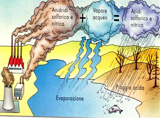 PIOGGE ACIDE