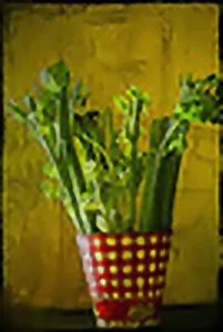 article new ehow images a04 ap 9m best way store celery 800x800