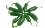article new ehow images a05 tm pd soften homegrown jalapeno peppers 800x800