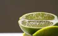 article new ehow images a06 jl a4 freeze lime juice 800x800