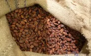 article new ehow images a07 aj qc ferment cacao beans 800x800