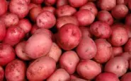 article new ehow images a07 eu f4 cook red potatoes boil 800x800