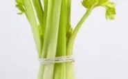 article new ehow images a07 pd p8 freeze celery soups 800x8002