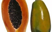 article new ehow images a08 bu p8 pick eat papayas 800x800