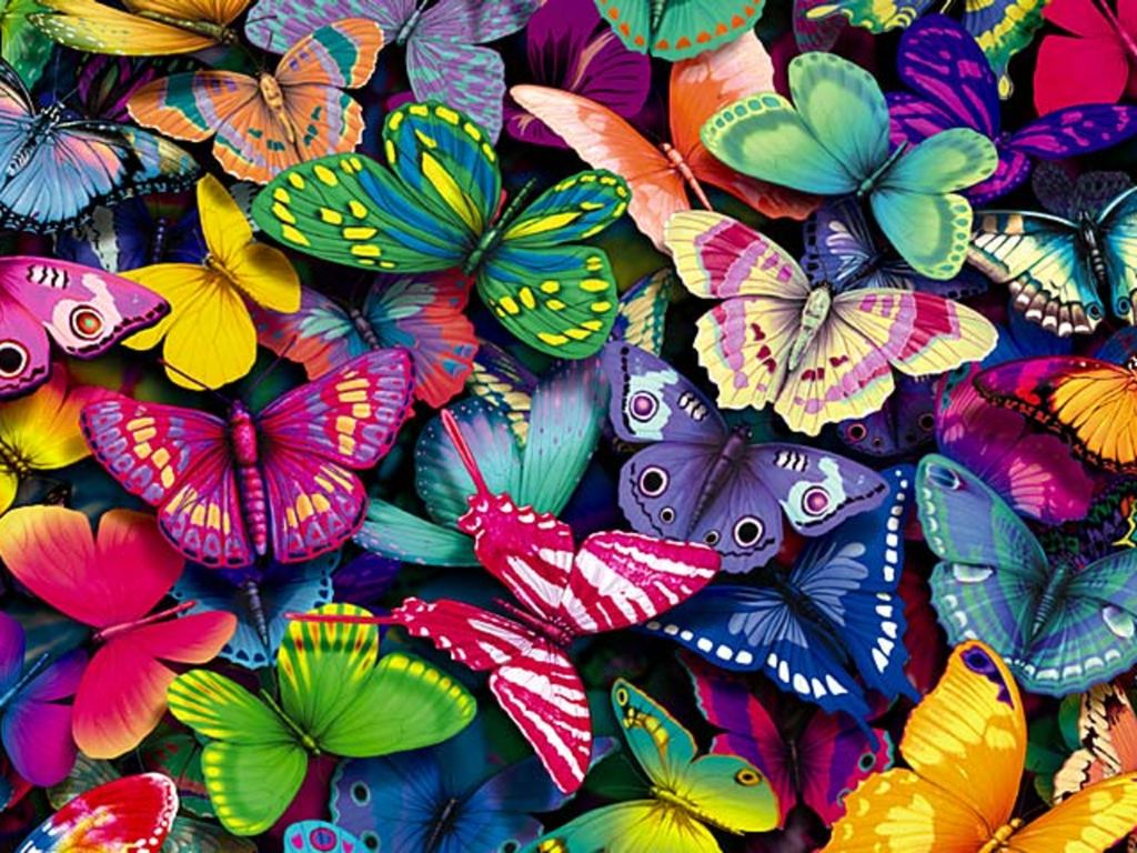 butterfly  background 90007 1
