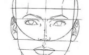 disegnare volto